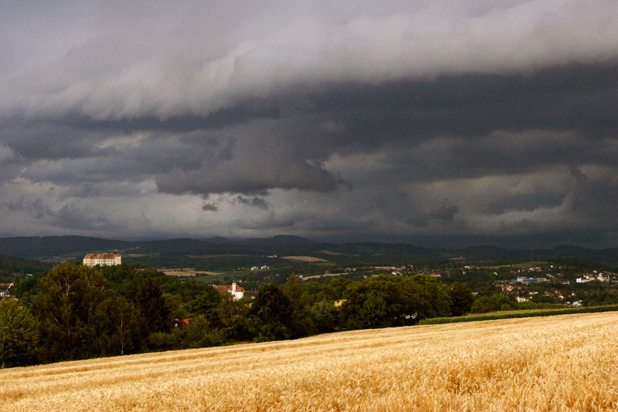 Foto 17/24 (Burg Neulengbach)